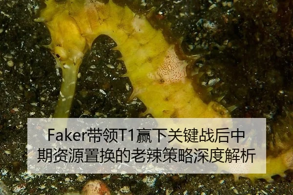 dai-ling-ying-xia-guan-jian-zhan-hou-zhong-qi-zi-yuan-zhi-huan-de-lao-la-ce-lve-shen-du-jie-xi-2-950.jpg